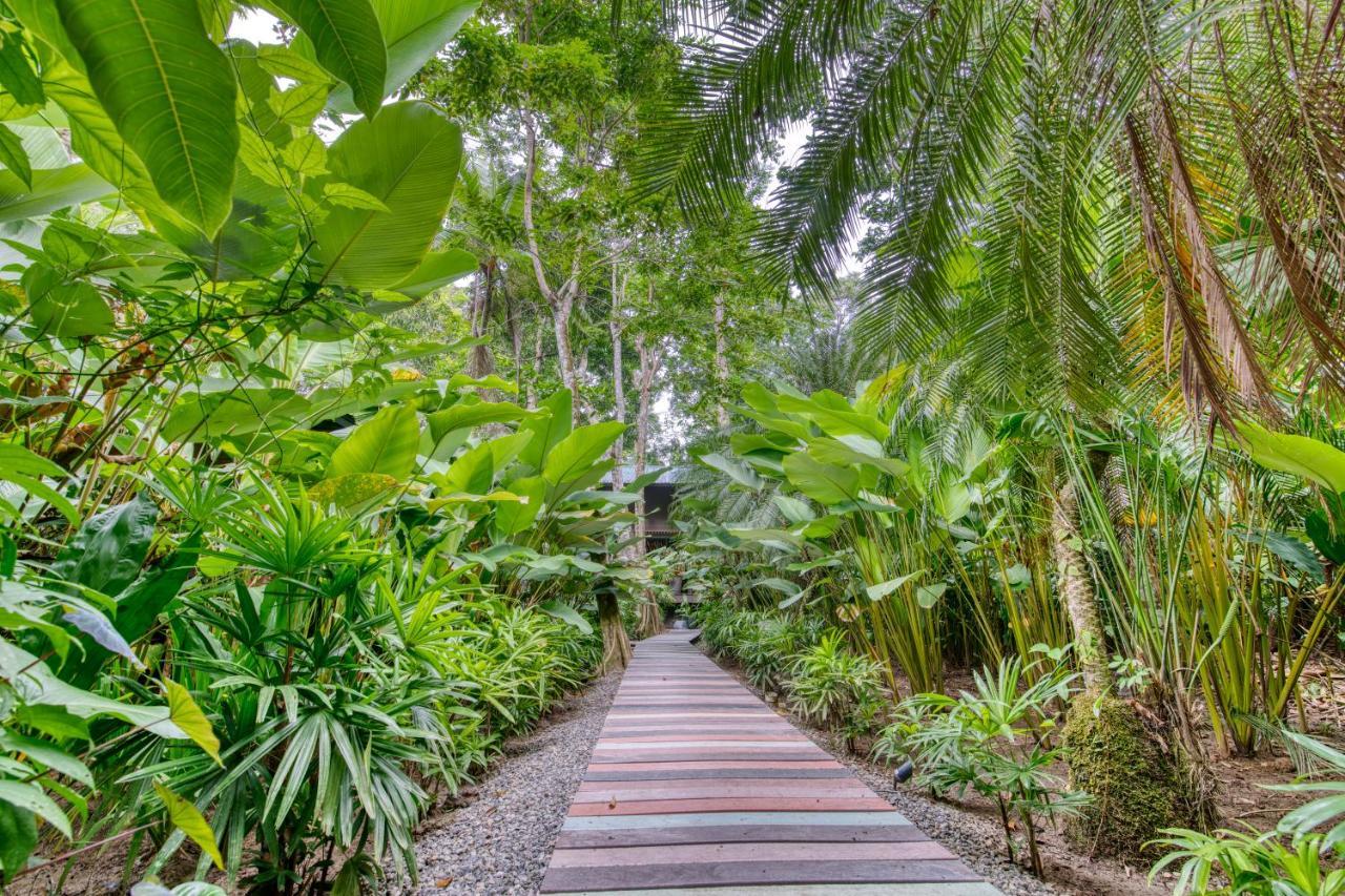 Awa Beach Hotel Puerto Viejo de Talamanca Экстерьер фото