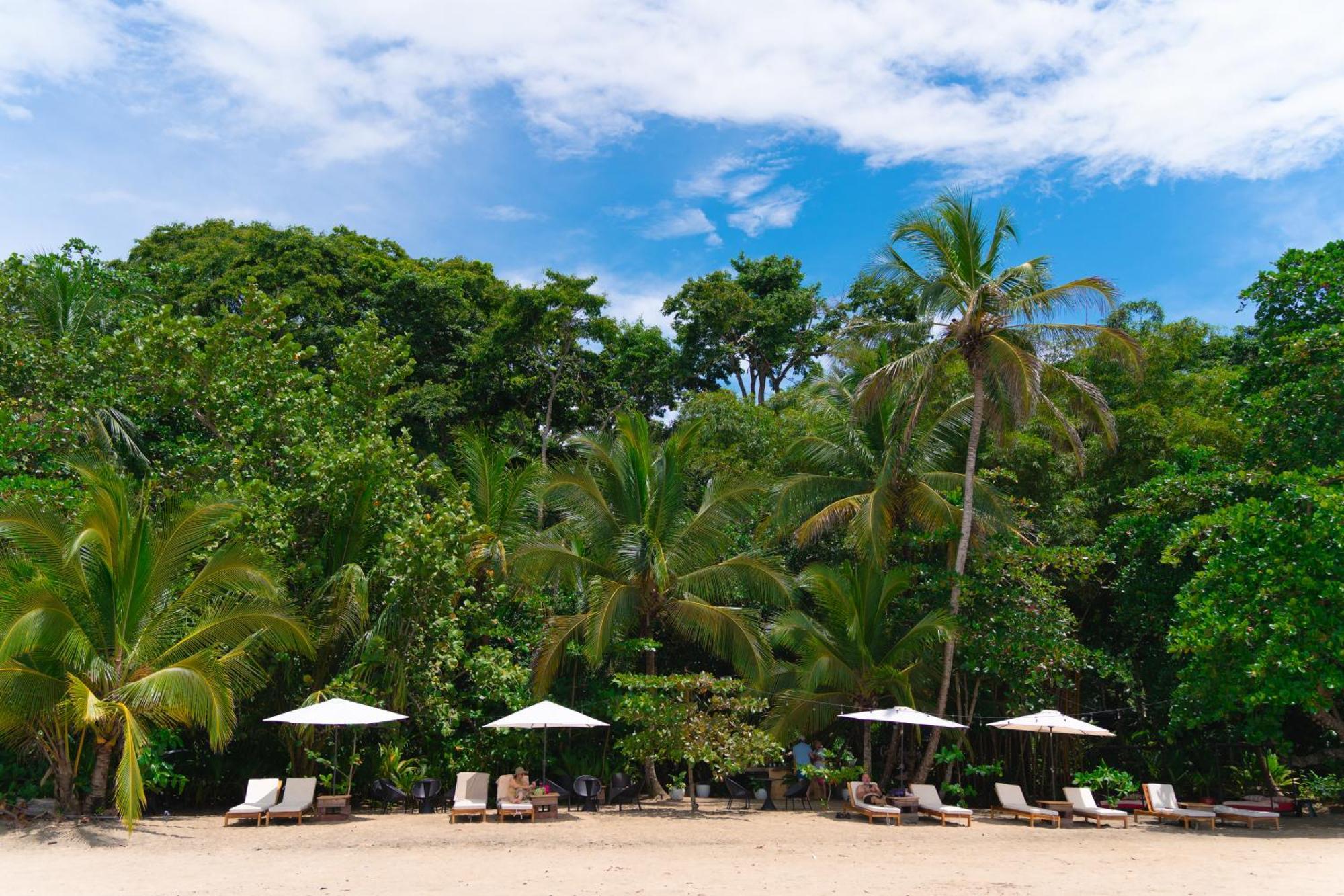 Awa Beach Hotel Puerto Viejo de Talamanca Экстерьер фото